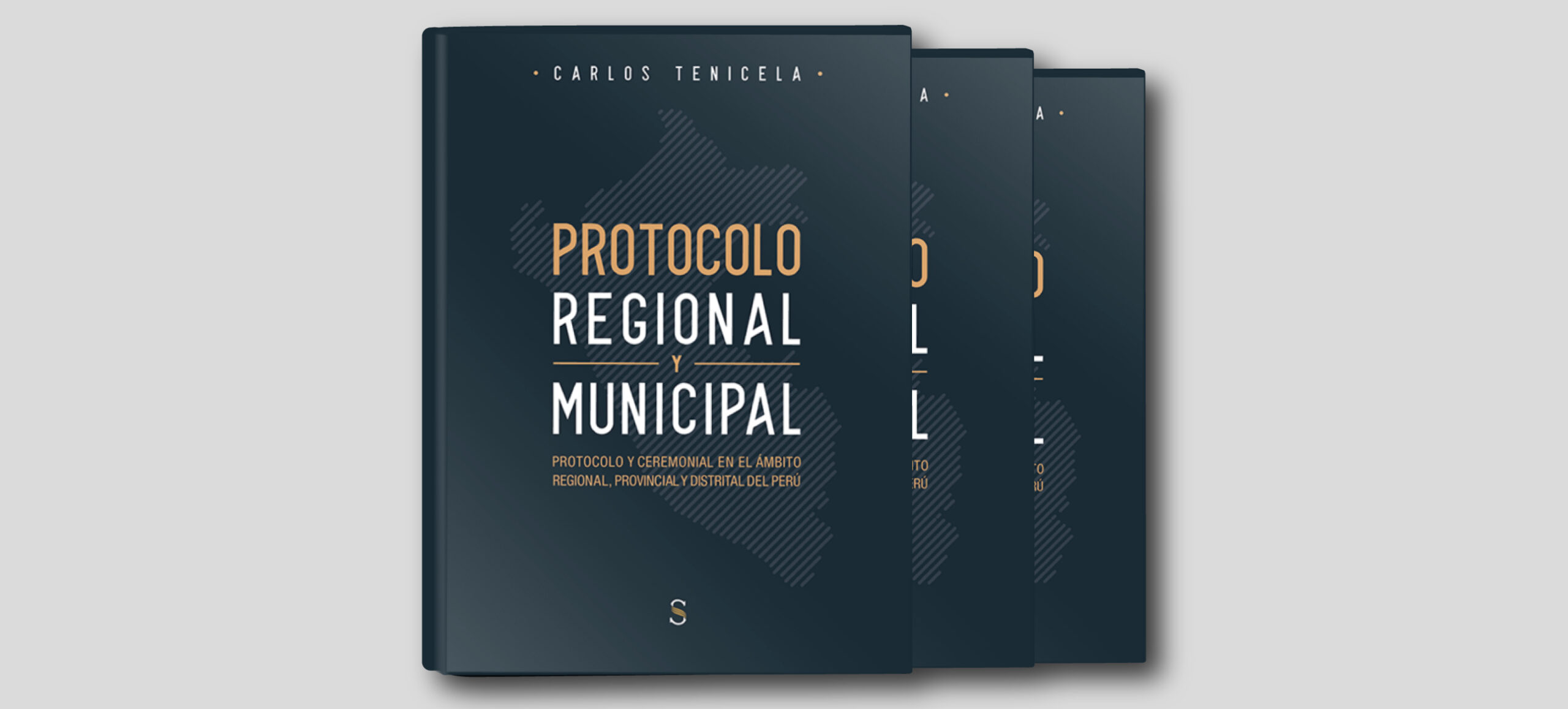 PROTOCOLO REGIONAL Y MUNICIPAL un libro de CARLOS TENICELA